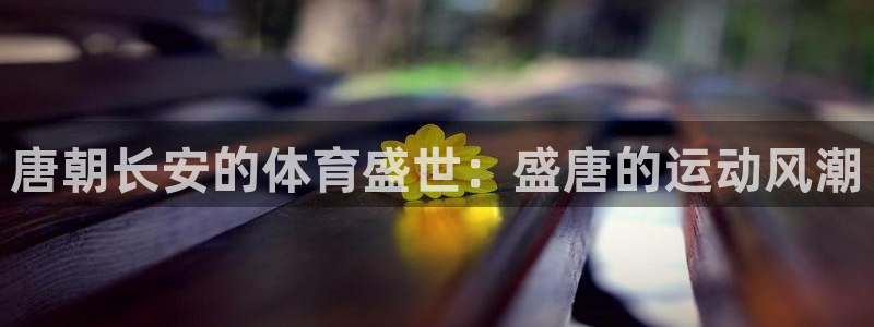 星奥娱乐集团怎么样