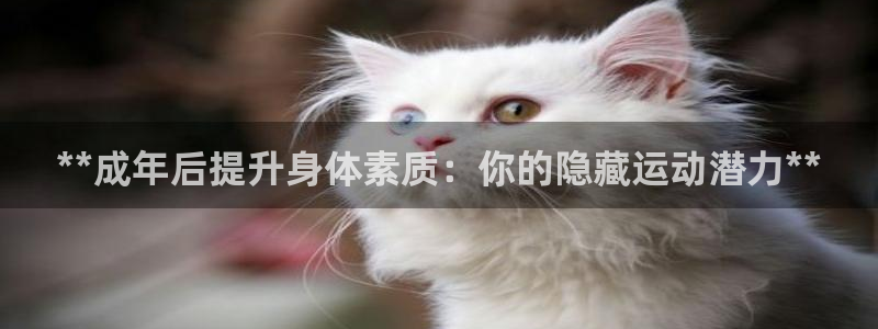 星乐娱乐官网