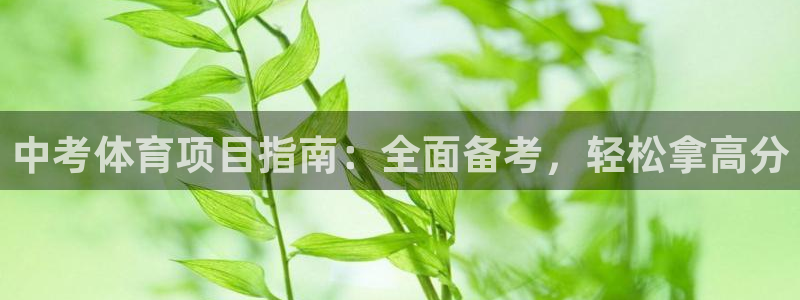 星奥娱乐集团股份有限公司官网