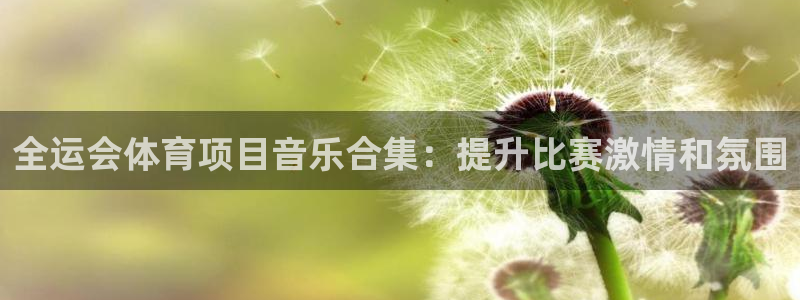 星娱乐是谁的公司