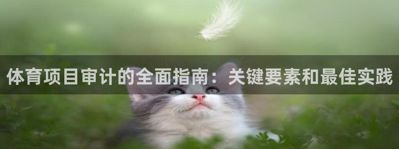 星欧娱乐app最新版本更新内容
