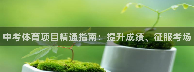 星欧娱乐的官方版本更新内容