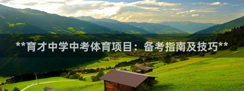 星奥娱乐旗下艺人