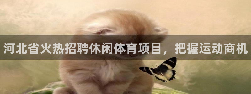 星欧娱乐最建议买的三个产品有哪些内容