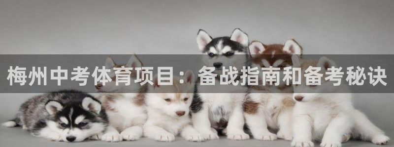 星欧娱乐最建议买的三个产品是哪三个
