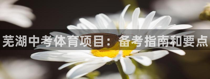 星欧娱乐联游戏评测