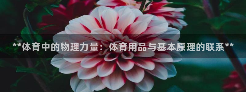 星欧娱乐法711.112扣费如何处理