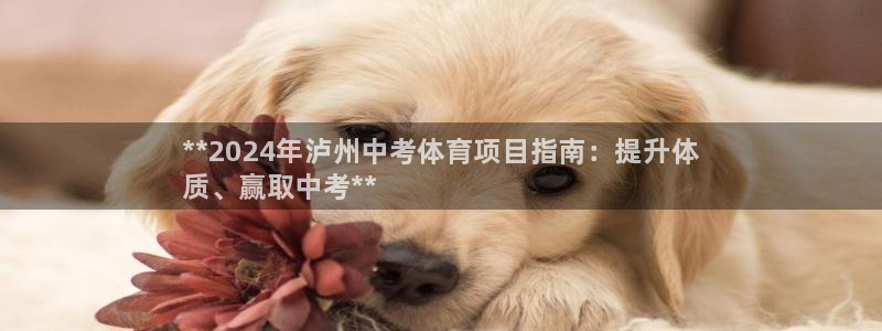 星娱乐是谁的公司