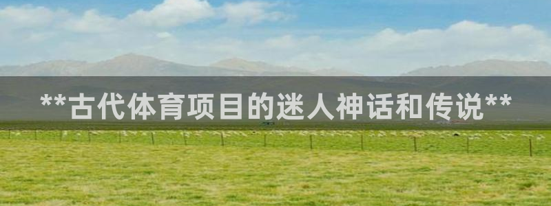 星娱乐是谁的公司