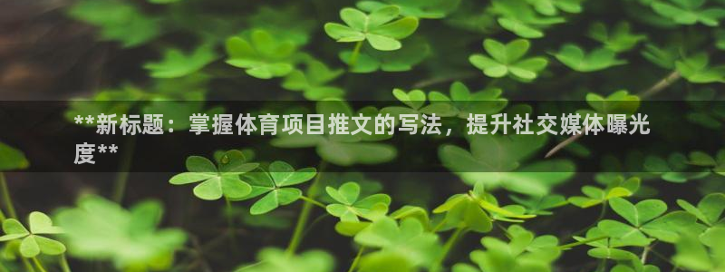 星欧娱乐扣款流程详解图片大全