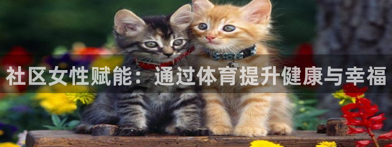 星欧娱乐是正规平台吗知乎文章