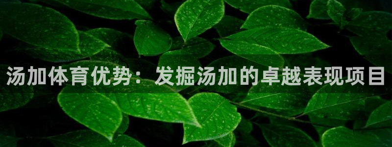 星欧娱乐测速软件下载