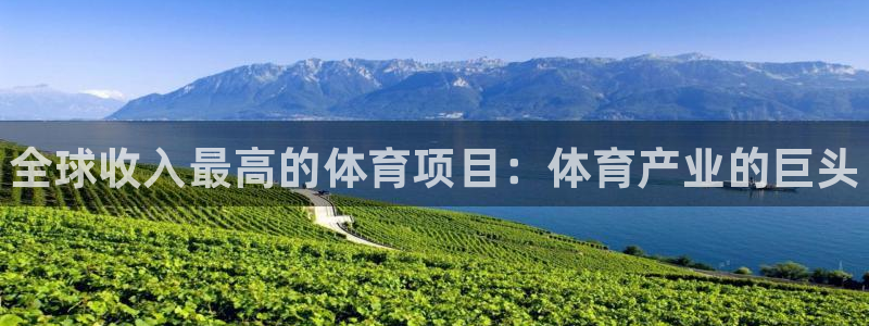 星奥娱乐集团怎么样