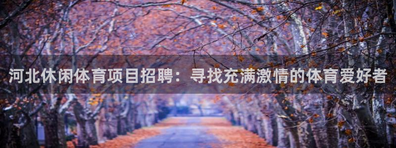 星欧娱乐官网首页