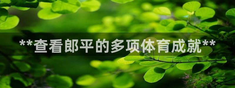 星欧娱乐工711.112怎么没有了