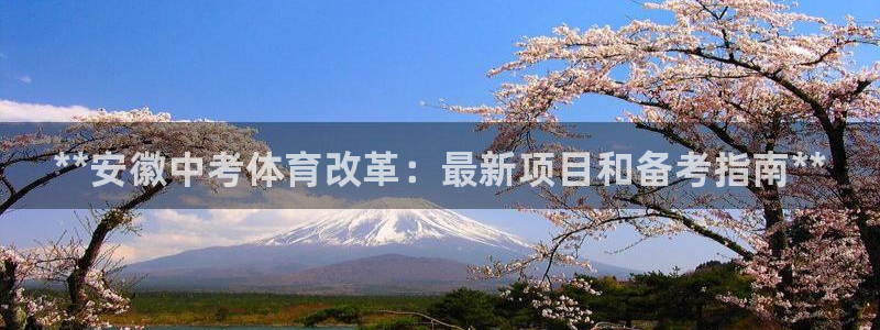 星欧娱乐联最新功能介绍