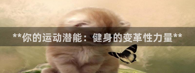 星欧娱乐法最新进展