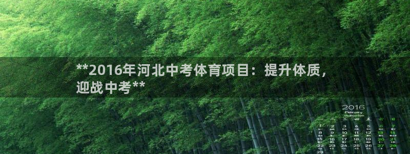 星欧娱乐的官方版本更新内容